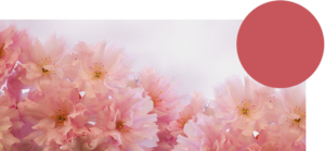 gutschein_placeholder